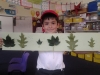 Measuring Jacks beanstalk leaves in maths week